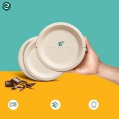 Eco Soul 15cm Paper plates Biodegradable 1000 pcs.