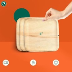 Piatti decidui compostabili da 8 "quadrato Eco Soul 200 pezzi ECO