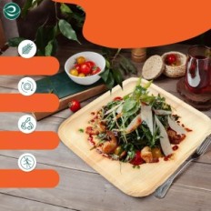 Laubkompostierbare Platten 8 "Square Eco Soul 200 Stück Eco