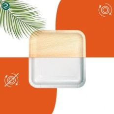 Plaques compostables à feuilles caduques 8 "carrée Eco Soul 200 pièces Eco