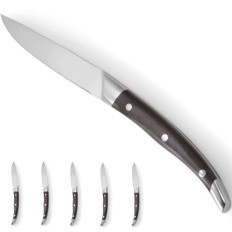 Profi vonal steakkés - 6db készlet.