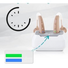 Hearing Aid weiyii 1021 Digital loading noise reduction 4 Case modes