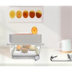 Incubatore usato 12 uova OKÖBI OBI-12 rotazione automatica e controllo dell'umidità