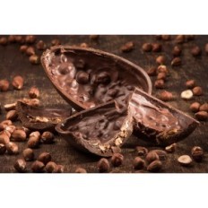 Forma usata per uova al cioccolato dal policarbonato ERRE4M