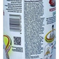 Chyanprash sem açúcar Dababu 500 g Ayurvedic Jam Fortalecimento Resistência