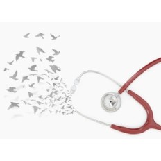 Médico estetoscopio luz MDF acústica MDF747XP17 doble cabeza, burdeos