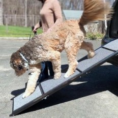 Gebruikte Ramp voor PSA 160 × 44 cm Vouwbare antislip voor auto's tot 113 kg