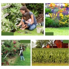 Gebrauchte Surmountway Bodensonde 91 cm aus Stahl-T-Griff-Garten / Feld / Rasen