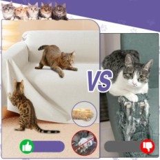 Cat / Dog Cover, Protective Mat 300x180 cm