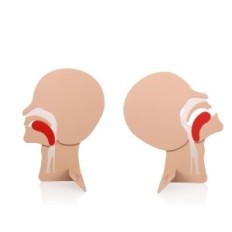 Hingamisteede mudel 2 tk. HEADE MOODUL TRAURI RKO XFT-E0002