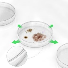 Petri Dishes Plastic 100mm Vabioth 100 stykker steril med lokk