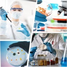 Petri Dishes Plastic 100mm Vabioth 100 stykker steril med lokk