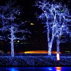 USZKODZONY Lampki dekoracyjne LED ZELUXDOT 200m 2000 białe zimne srebro