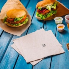 Paper napkins Biozooyg DES02804 2400 Ecological chart compostable