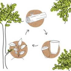 Paper napkins Biozooyg DES02804 2400 Ecological chart compostable