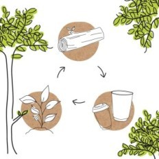 Pappersservetter BiozooyG Des02804 2400 Ekologisk diagram komposterbar
