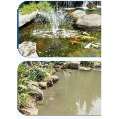 Filtre pour maille d'eau 2500 l / h avec pompe de bilage de lampe UV 40W