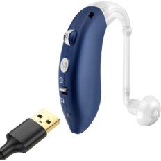 Unvollständiger PC-Sound- und Sprachverstärker. Geladene Guartzd