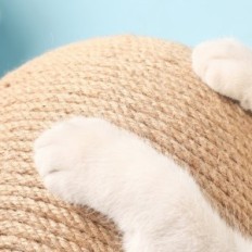 Cat rayures bureau de bois avec une boule de taille sensible 17x18x19 cm solide