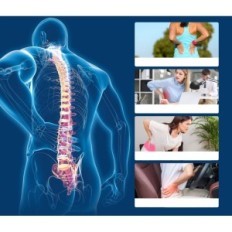 I-THERA I-THERA LED belt 660nm + 850nm Therapy Back Pain Exhibition