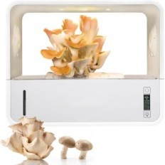 Gebruikte GrowBox voor champignons met LED en vochtigheidsregeling Transparante container SCE-001
