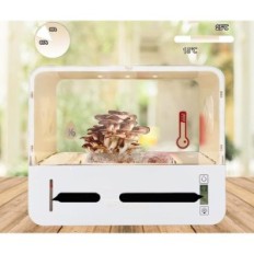 Used GrowBox for Mushrooms with LED and humidity control Transparent container SCE-001