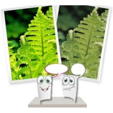 Τονογράφοι CLT-504S για Samsung SL-C1810W / C1860FW / CLX-4195, 2500 σ. Μαύρο 4 τεμ