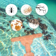 WITNESSED / HASZNÁLATI Pool porszàvó Vezeték nélküli PoolyPoly 1822 akkumulátor 90 perc