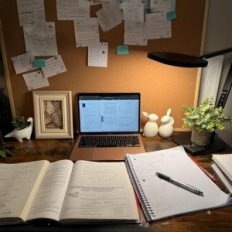 Desk LAMP LITONES F-630 15W Podešavanje svjetline 3 Svjetla