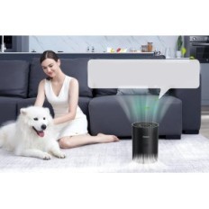 Purificateur d'air de chouboor HEPA pour la chambre