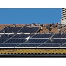 Nepotpuna solarna ploča pokriva moju stražu od vjeverice 8 "rolla 30m