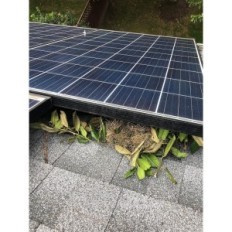 Ufullstendig Solar Panel Deksel Min ekorn Guard 8 "Roll 30m