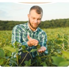 Sojabønne voks til naturlige stearinlys boyujjk 100% miljøvenlig uden tilbehør 4,4 kg