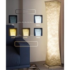 RGB AMDELNE SLT-HW-FG LED-staande lamp Modern met afstandsbediening en dimbare toepassing