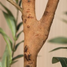 Kunstmatige olijf 120cm Kazeila grote binnenste plant in pottenbakker