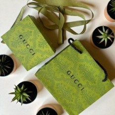 Gucci bag and box GUCCI green cardboard Ribbon 165x65x125mm