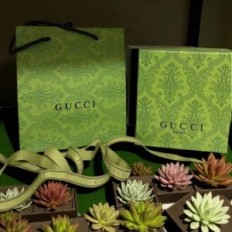 Gucci Borsa e box Gucci Green Cardboard Nastro 165x65x125mm