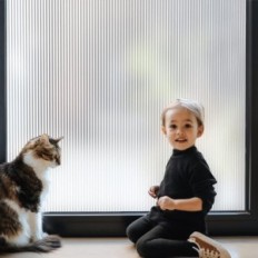 Electrostatic window foil 90 × 200 cm White anti-UV obscurial