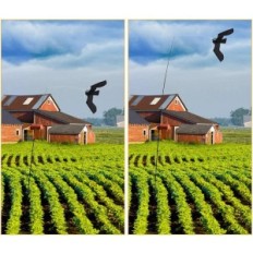 Onvolledige / gebruikte duivenafstotend en telescopische vogels KIJ 5 M