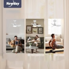 Ceiling fan with LED lighting. Newday 61cm. White remote control