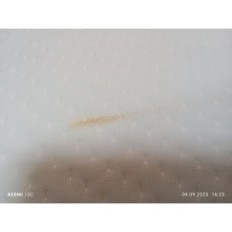 Feeloshome 12 "sola saite" Twin uz King Filler Slots