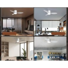 Ventilatore a soffitto Ø106cm Blitzwill cm301-EU Telecomando e applicazione 6 APPLICAZIONE DEGGIUNA