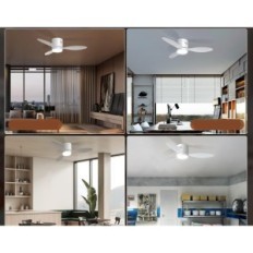 Ventilatore a soffitto Ø106cm Blitzwill cm301-EU Telecomando e applicazione 6 APPLICAZIONE DEGGIUNA