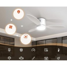 Ventilatore a soffitto Ø106cm Blitzwill cm301-EU Telecomando e applicazione 6 APPLICAZIONE DEGGIUNA