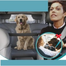 Automobilska mreža za pasa Snagle Paw Paw 142 cm Izložba