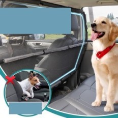 Car mesh for Dog Snagle Peaceptic Paw 142 cm Exhibition