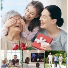 Ελλιπές / χρησιμοποιημένο ασύρματο DELMICURE VHP-1011 Ακουστικό