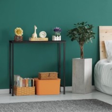 A Narrow Console Table for Hall and Metal Salon black