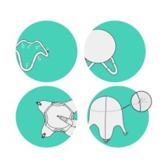 Istekohaste pall ENOI kaane ja ringidega Ergonoomiline tool 60-65 cm