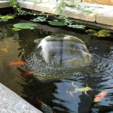 Biling Filting Pump voor 2500 L / H 40W-tentoonstelling